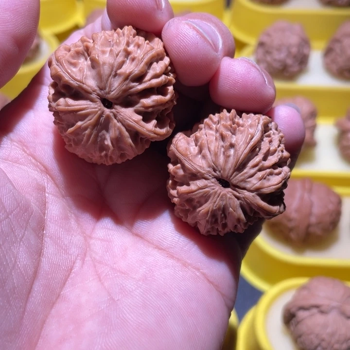 桃核吊坠龙珠全皮