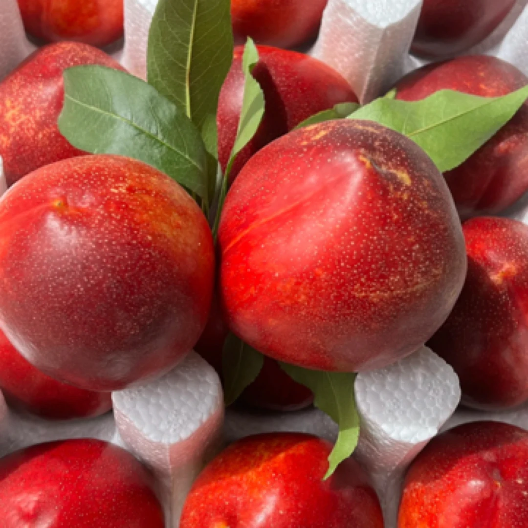 【盒装】脆甜的红油桃一盒（500克左右）山东省