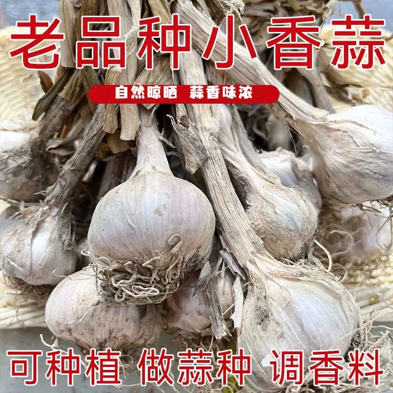 三斤装（农家土蒜）本地农家干大蒜瓣蒜