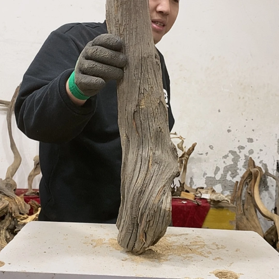 【闪购商品】柏木腔*。我们都是好孩子