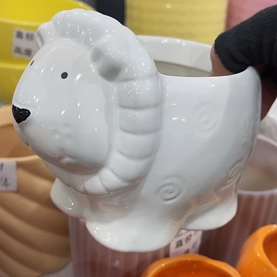 多年绿植陶瓷花盆9.9包邮，有孔