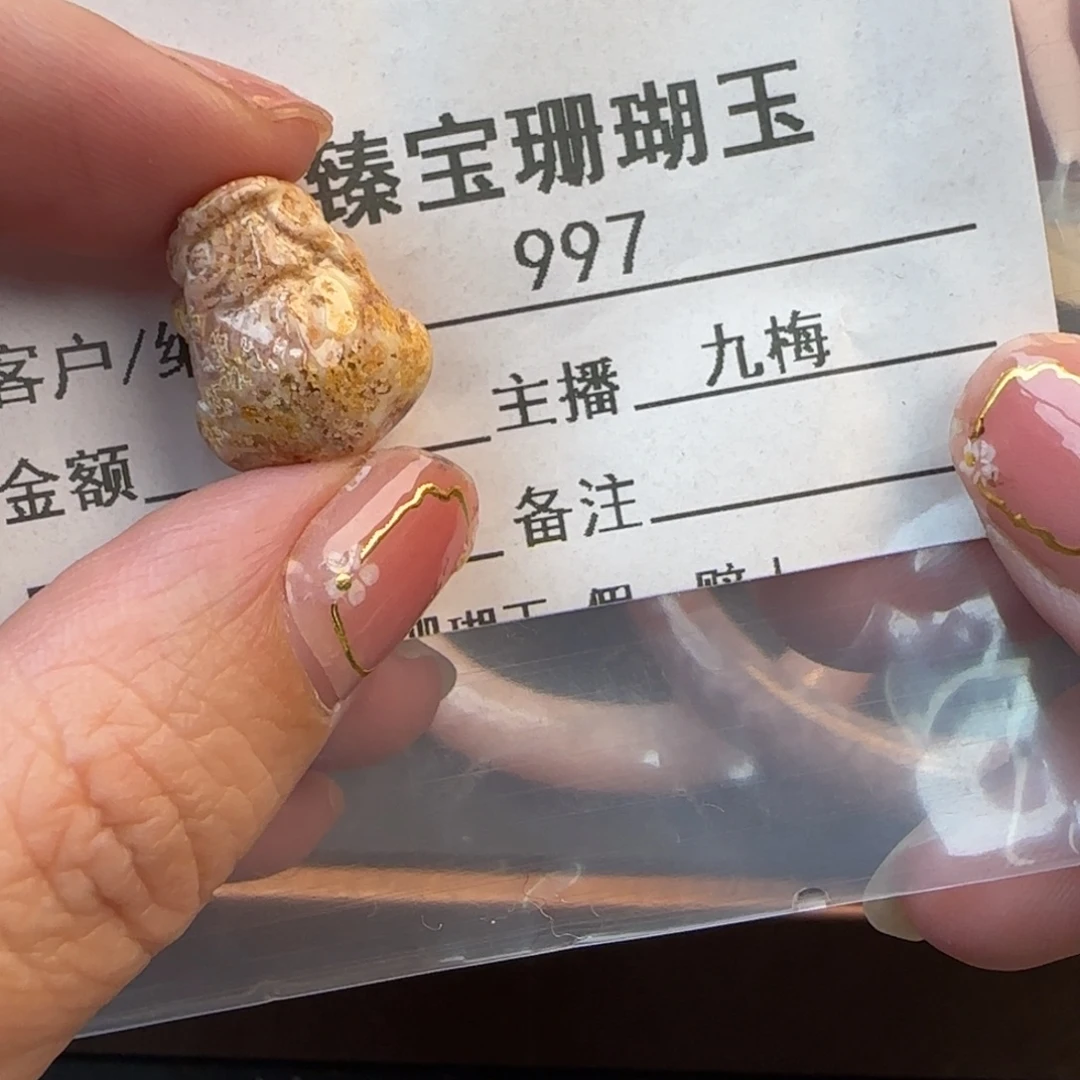 硅化珊瑚（珊瑚玉）未镶嵌颈饰