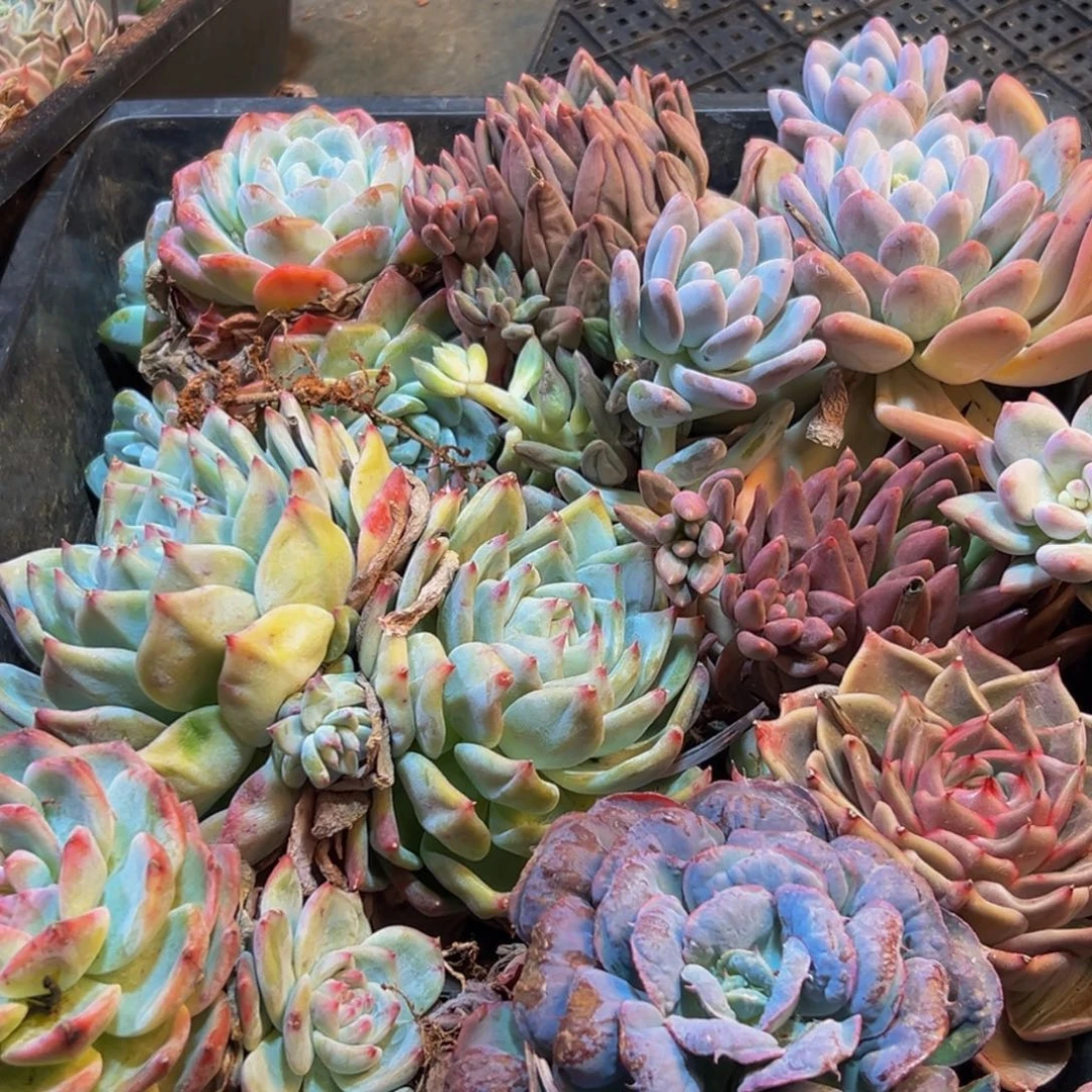 422许多地方刚刚好吧宝贝