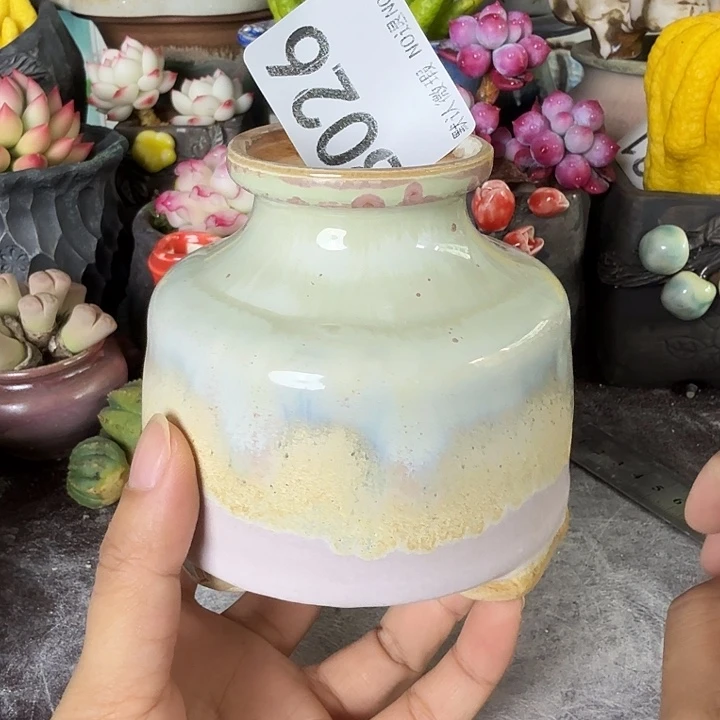 重庆小燕子欢迎大家026