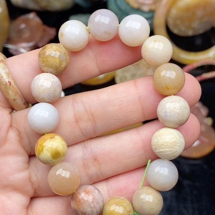 硅化玉未镶嵌颈饰