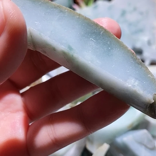 翡翠散珠边角料105