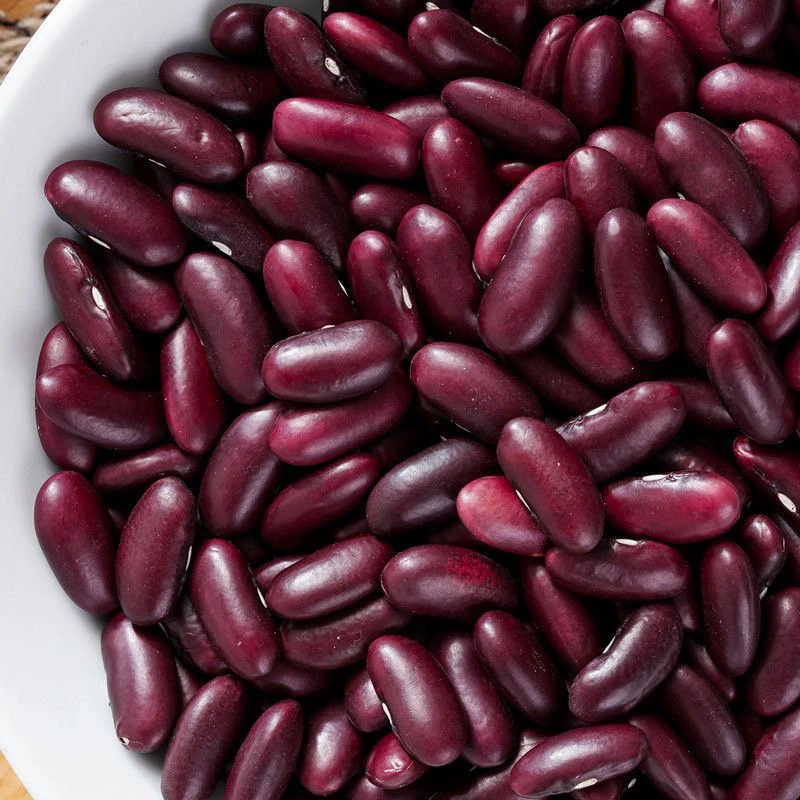 红腰豆红芸豆大红豆