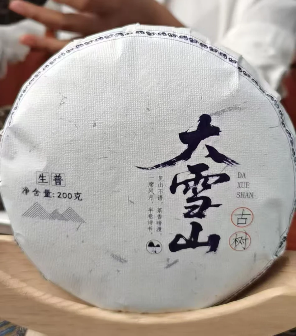 2025年普洱茶生茶  大雪山古树  源头好茶 200克饼