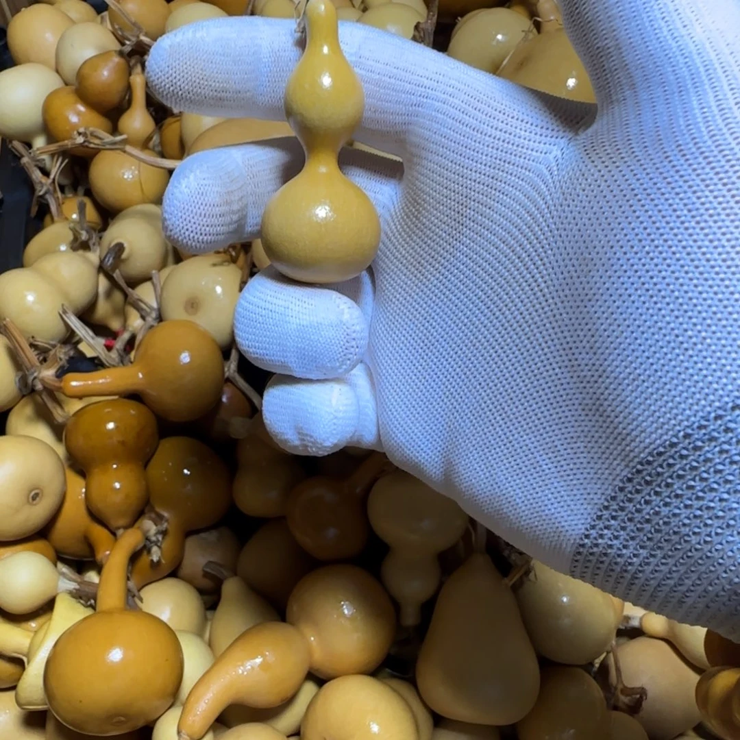 葫芦姐姐姐姐姐姐姐姐