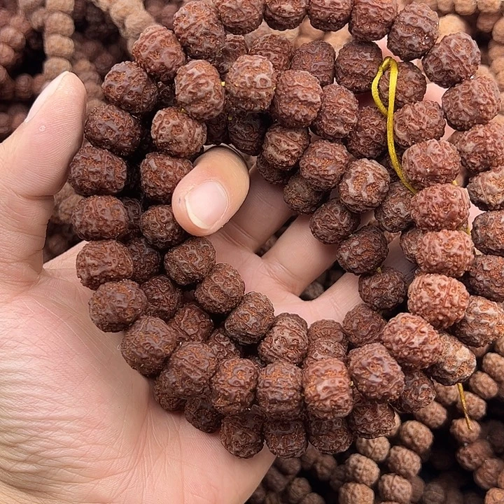 续***者手串金刚菩提谢谢