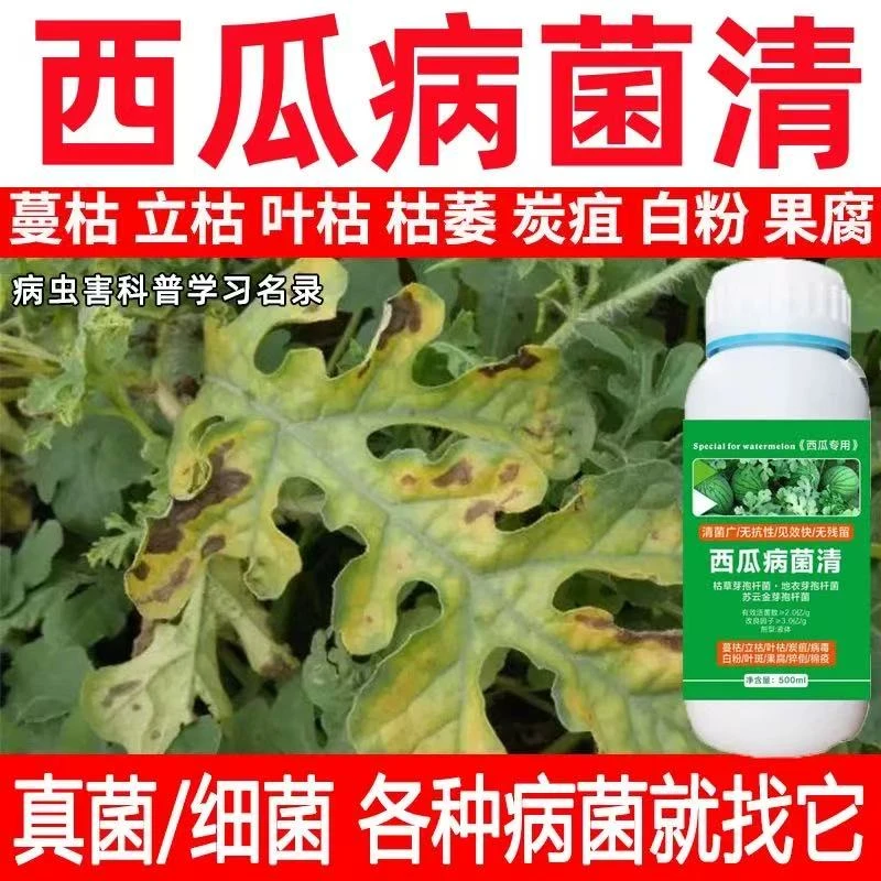 西瓜病菌清微生物菌剂西瓜病白粉病立枯病枯萎病炭疽病农用叶面肥