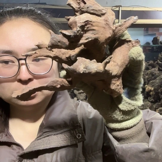 香榧木用****6火琉璃的故事毛料摆件