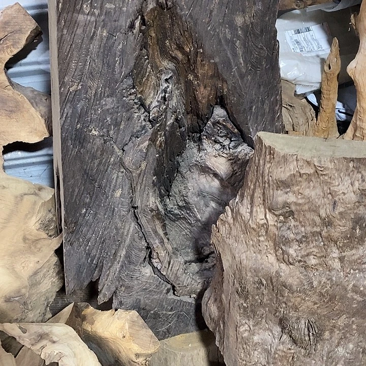 金丝楠木小叶桢楠木