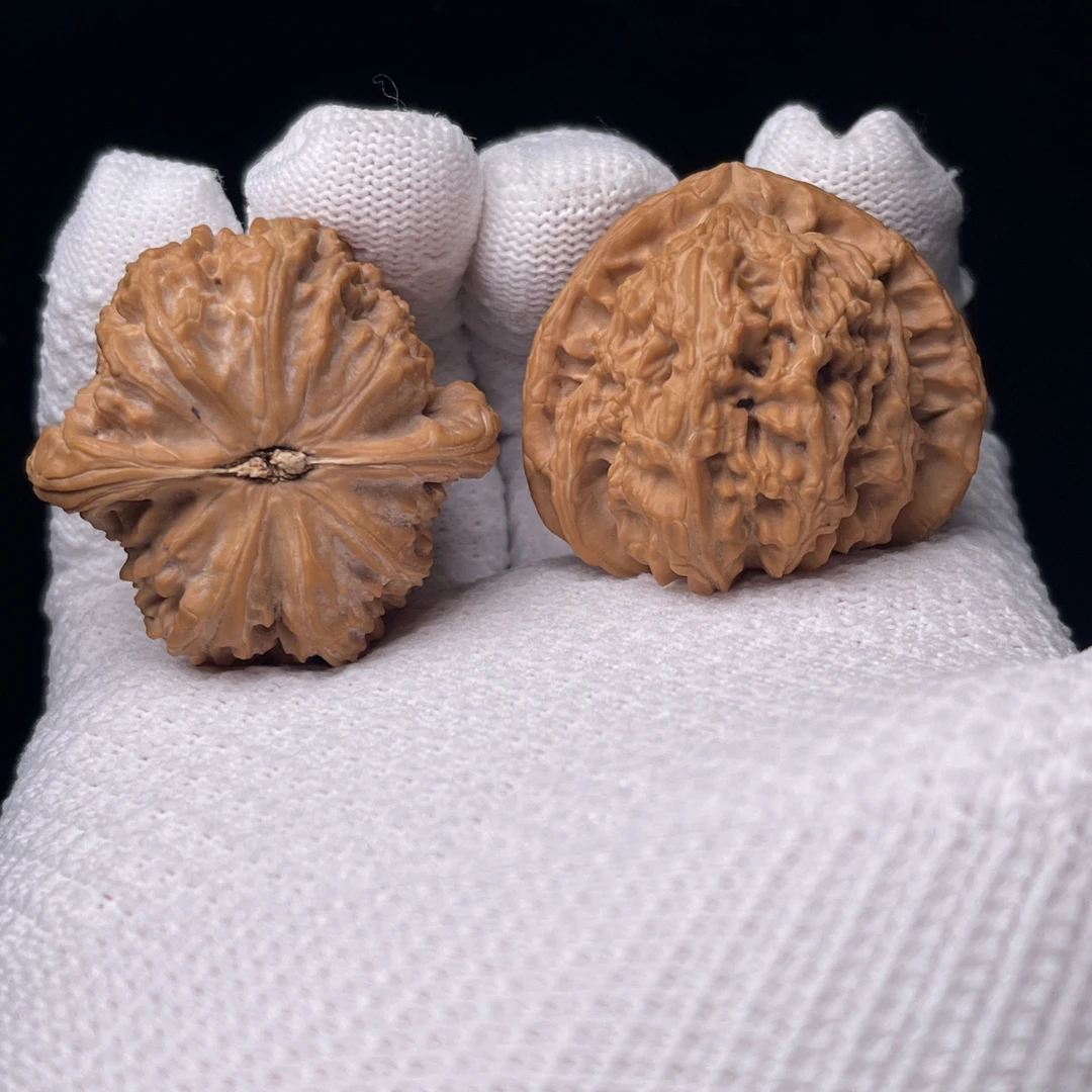 白狮子核桃三角白全品红皮尺寸39.5编号为（A 227）