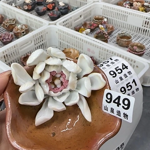 瓷片柴烧柴烧柴烧949