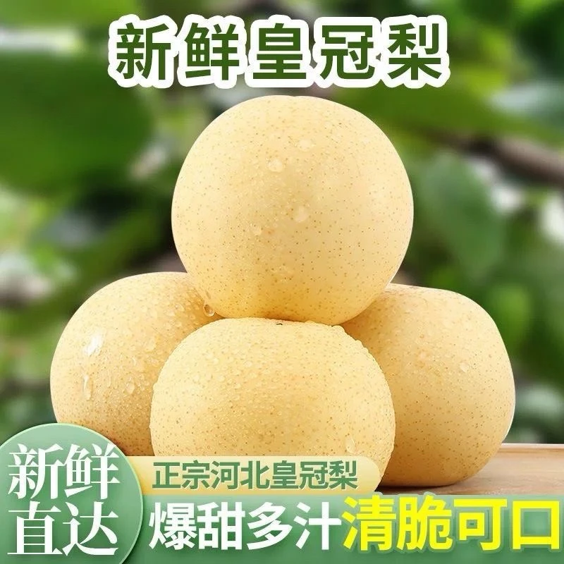 【果欢】正宗河北皇冠梨当季新鲜水果脆甜多汁河北省