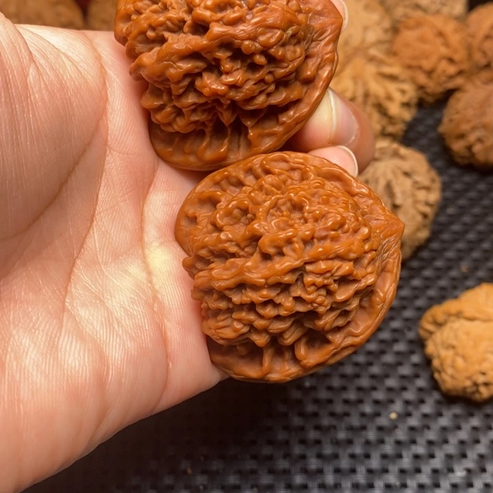 秦岭野生111111111111111