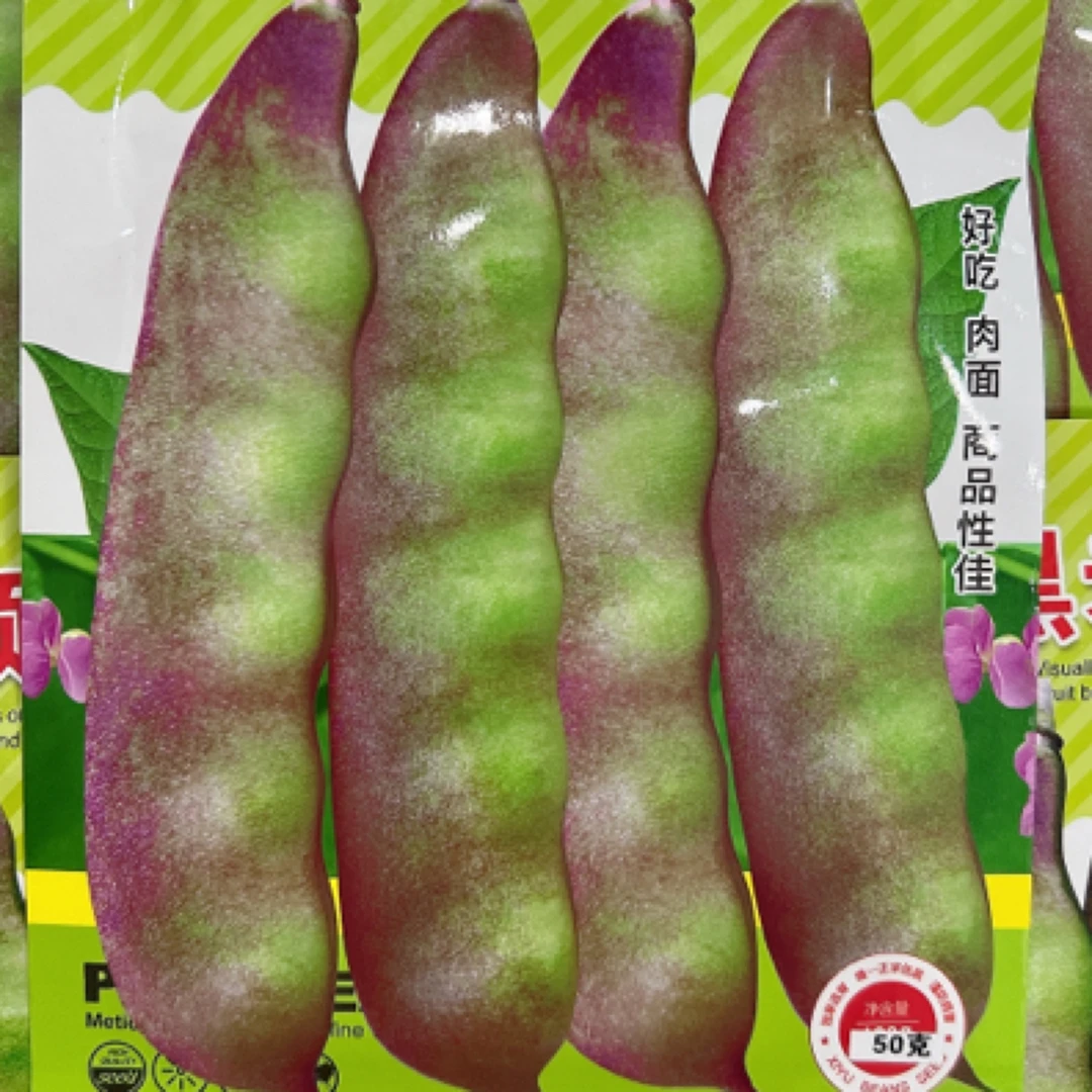 大宽荚黑老鸹油豆角种子