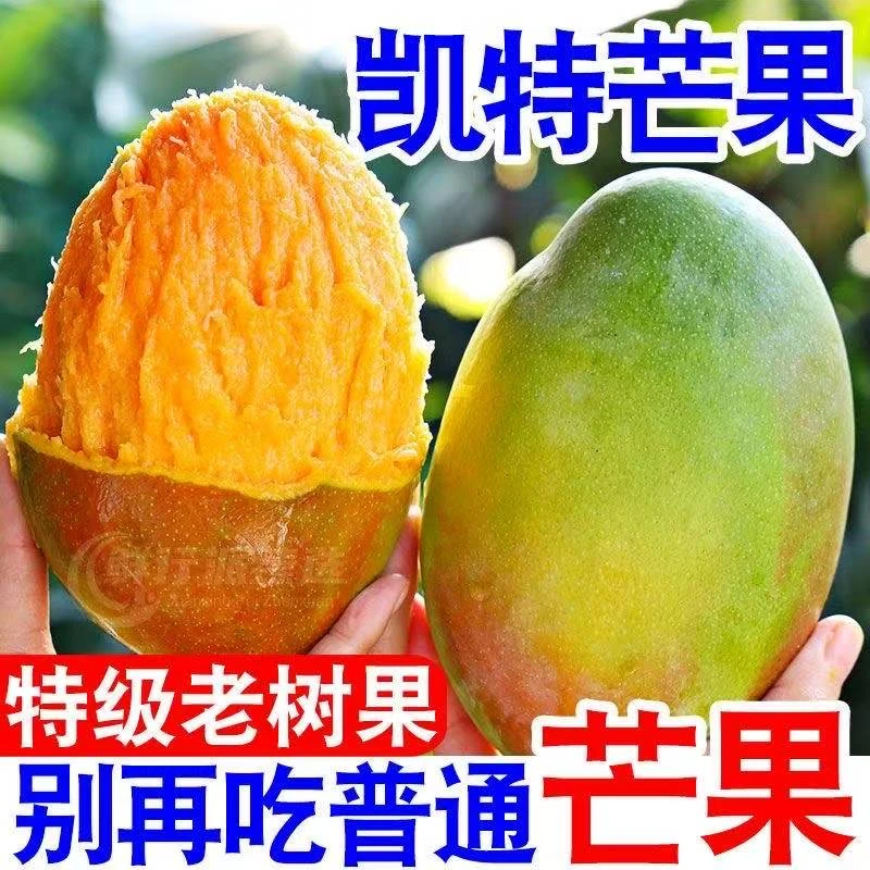 （催熟食用）攀枝花凯特芒酸甜多汁带箱5斤单果400g+ 4-6