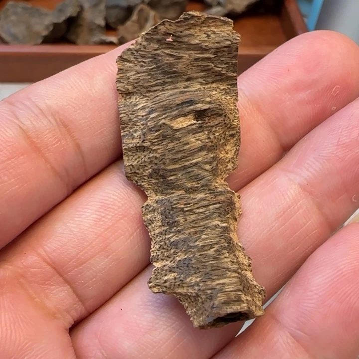 摆件沉香海南针线虫漏1.6克