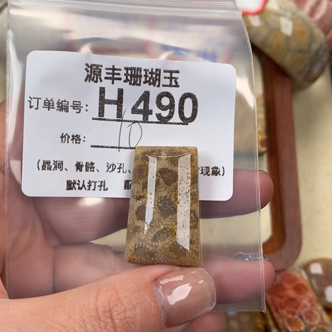 硅化玉颈饰未镶嵌元*