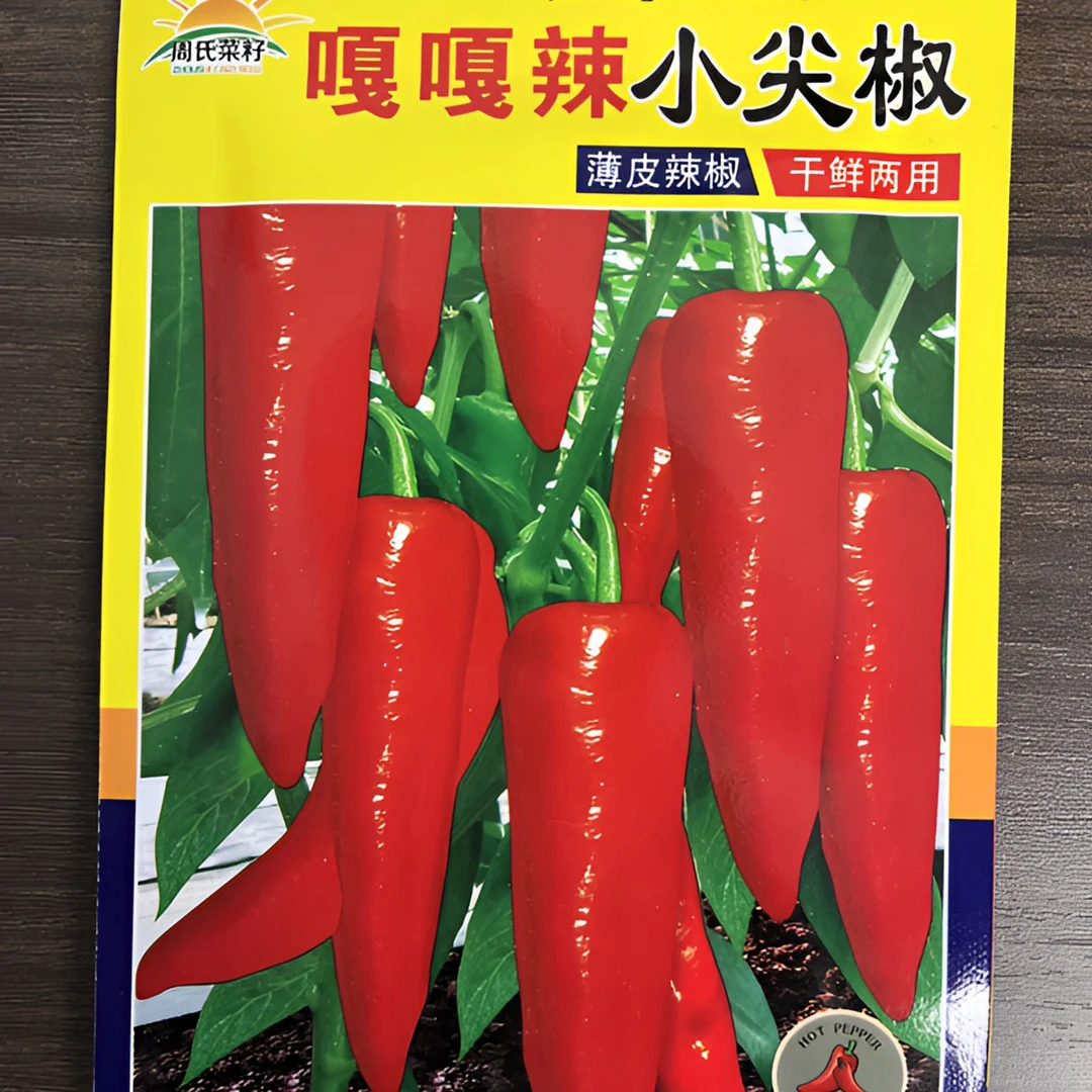 嘎嘎辣小尖椒菜籽种子