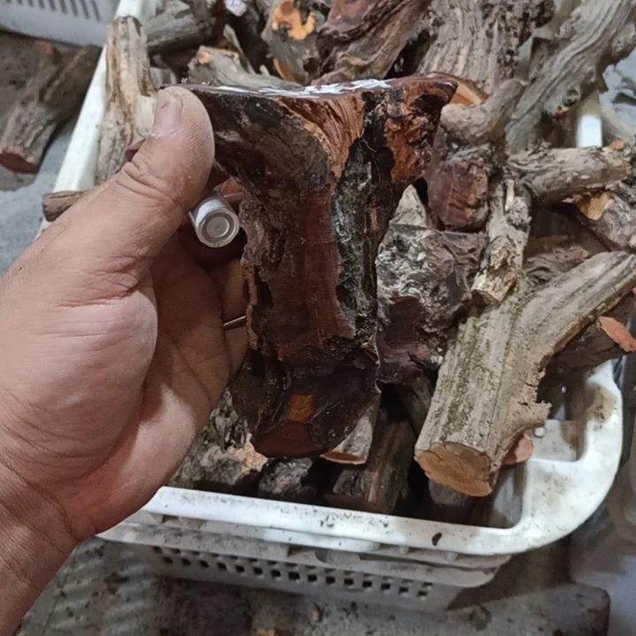 青***哥大果紫檀（缅甸花梨）