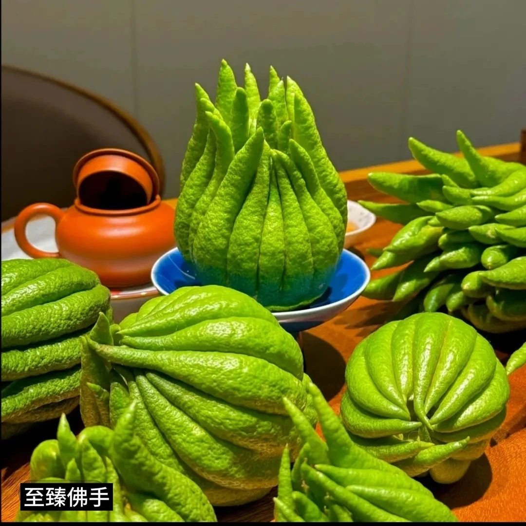 （臻品果）云南高山佛手柑
