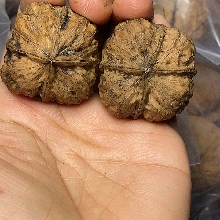 文玩核桃把件云南铁核桃16