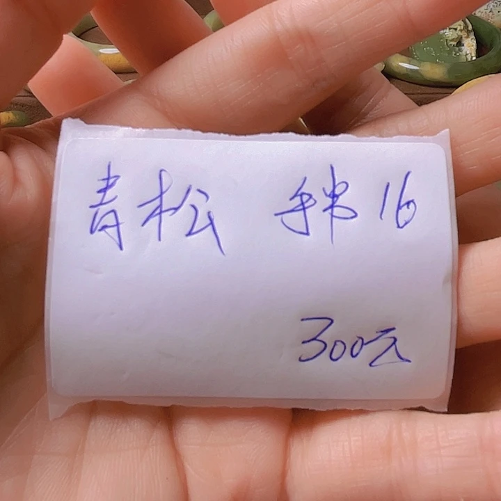 未镶嵌手串岫岩河磨玉（透闪石质玉）青*