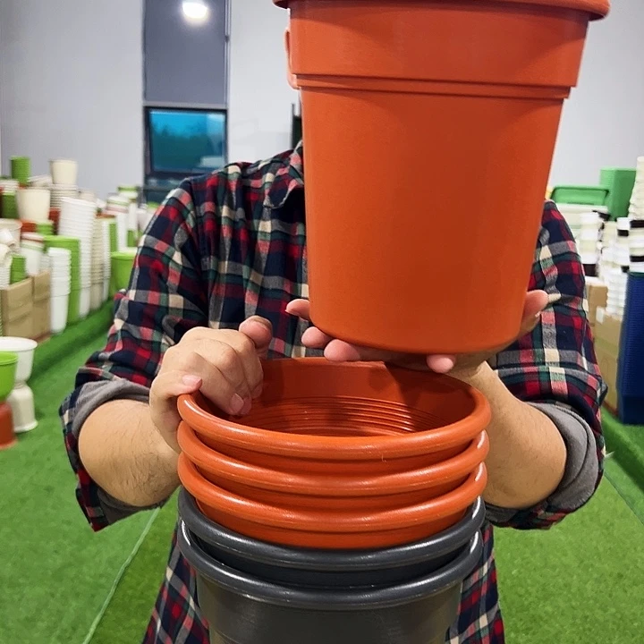 特价翻边口21高22混色6个无托