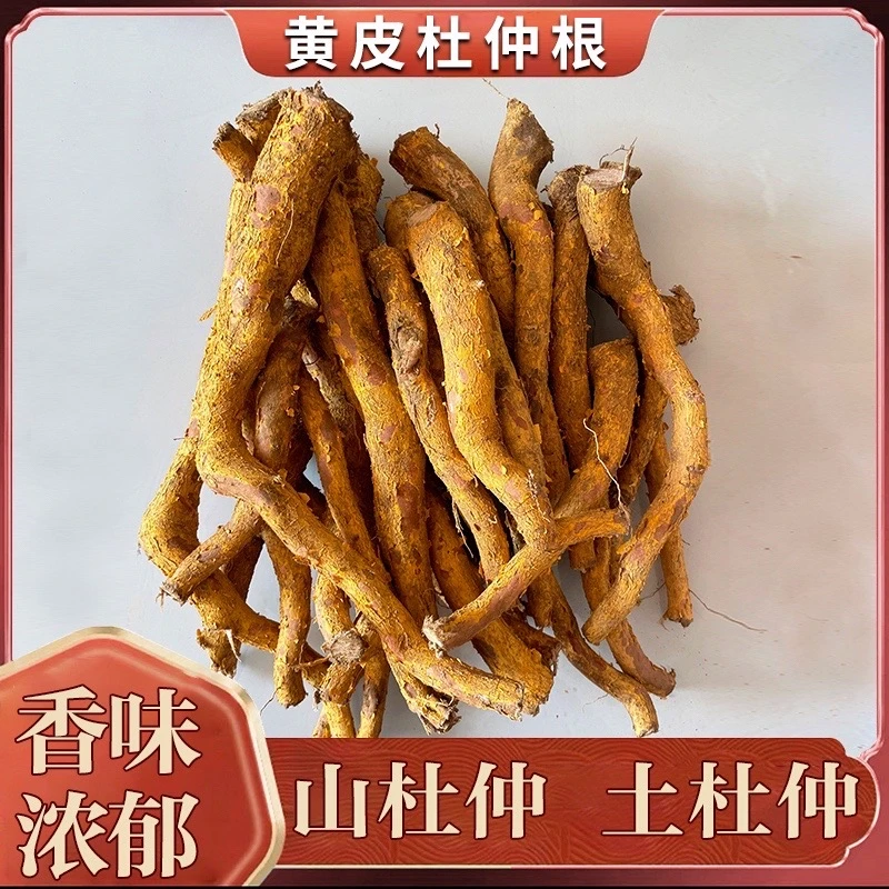 福州闽清正宗 黄皮杜仲根 山杜仲 土杜仲 晒干500g农产品包邮