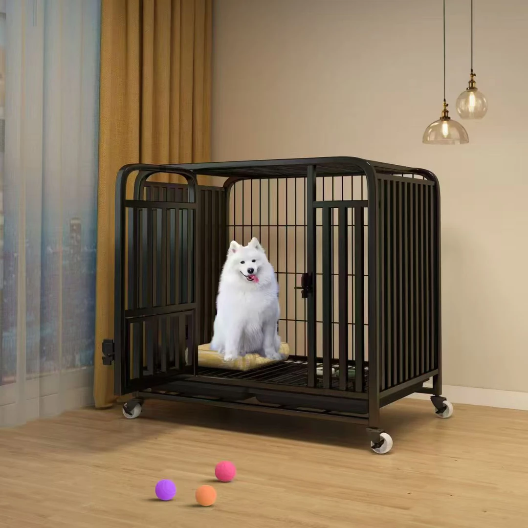 宠物狗笼子直播链接