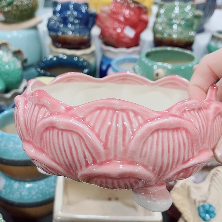 多肉花盆满10元包邮