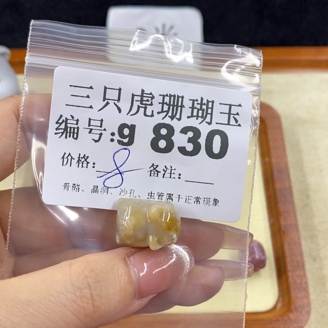 硅化珊瑚（珊瑚玉）未镶嵌1呆***！