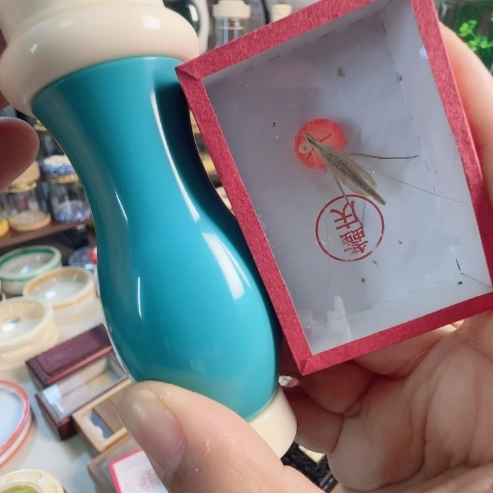 变色葫芦➕柬竹啊啊啊啊