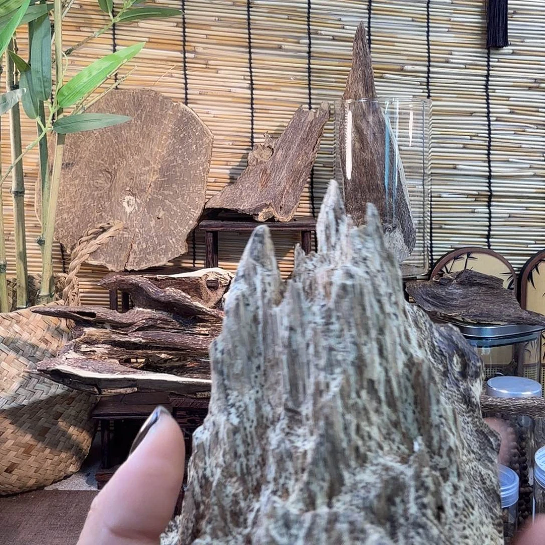 沉香碎屑沉香沉香吊齿40g