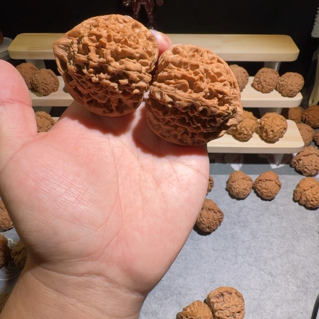 大叶紫檀（黑酸枝木类）