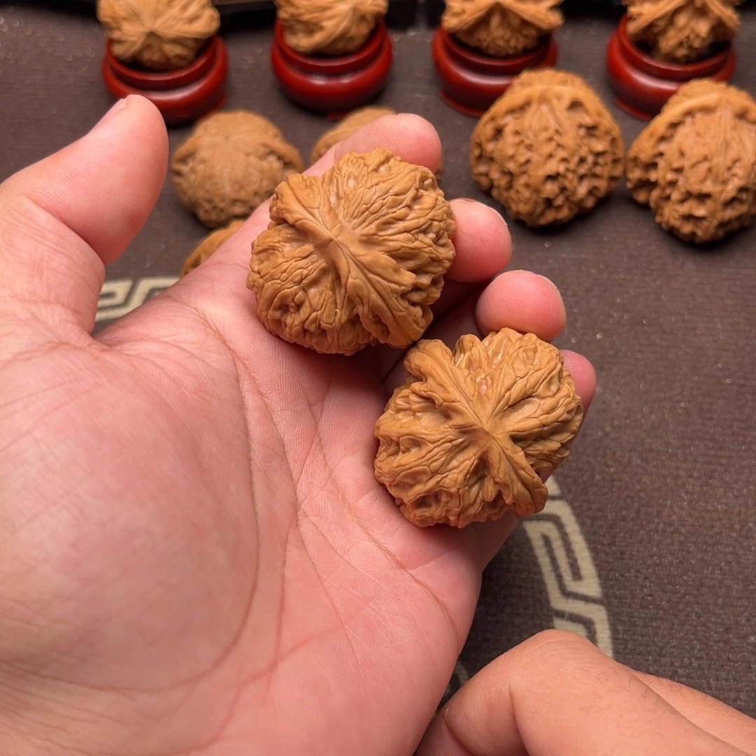 核桃红锦鲤1111111