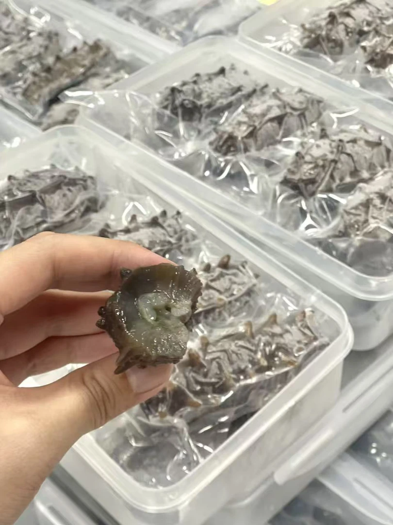 [中秋活动]大连高刺辽参 配酱油+礼袋