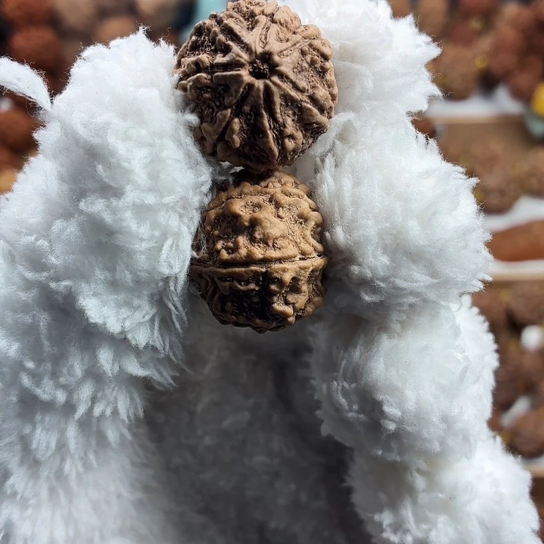 金刚菩提手串稀有精品7瓣矮桩铁籽