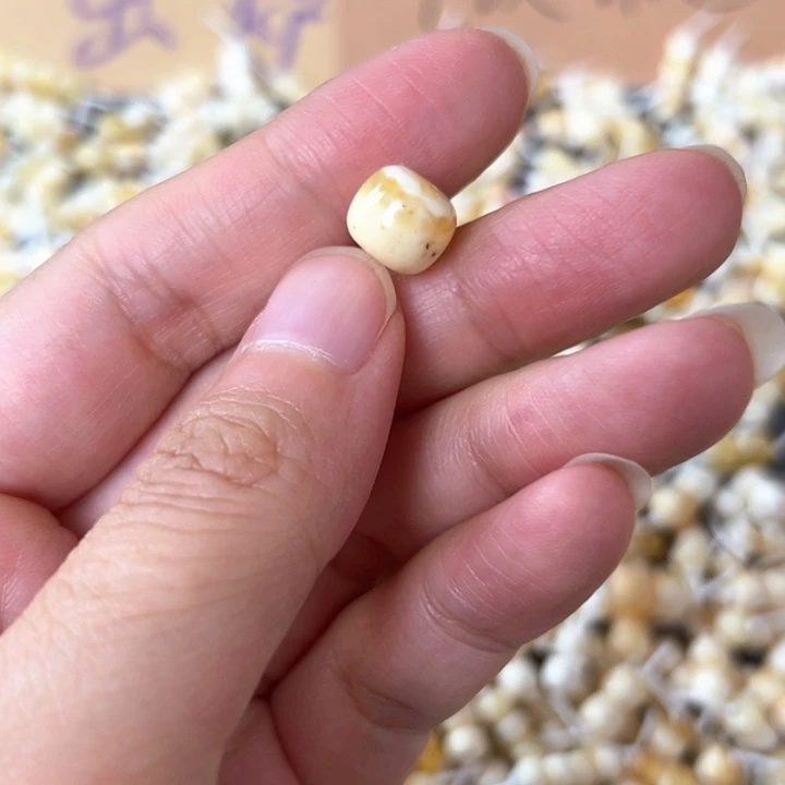 裸石蜜蜡未镶嵌9.5mm一个