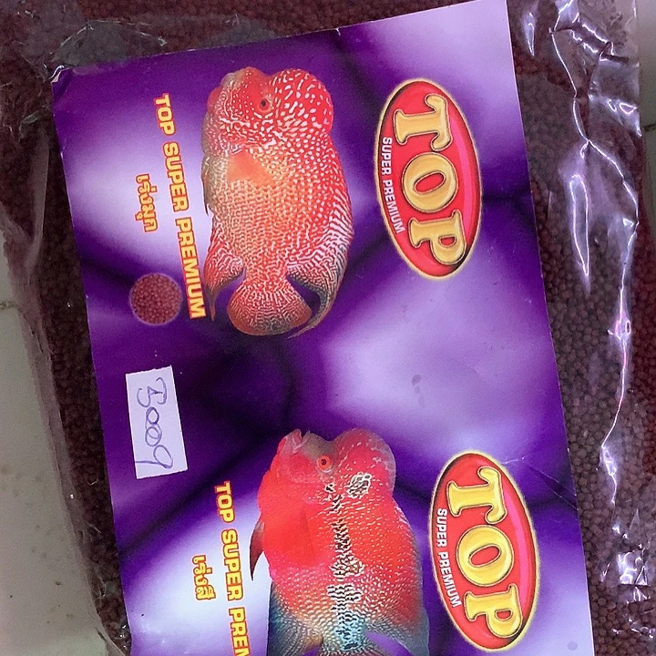 罗汉鱼增色top 500G88888888