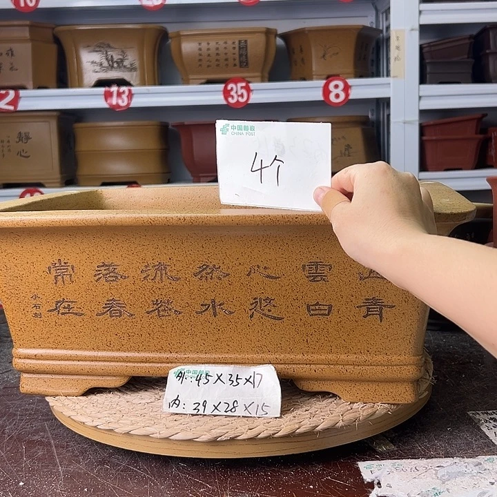紫砂花盆蛇年大吉