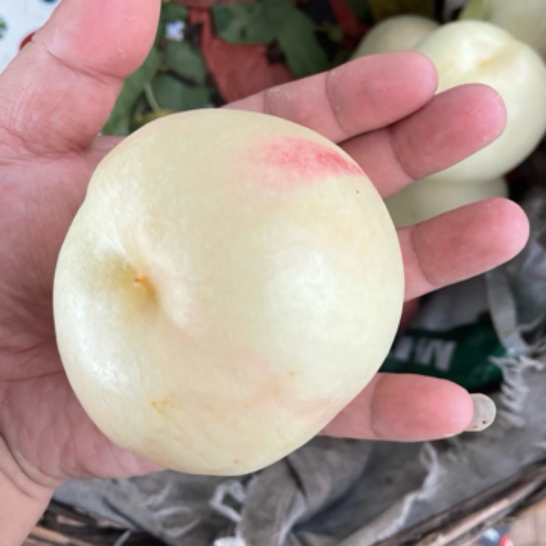 白油桃，纯白桃，脆甜口5斤装北京市