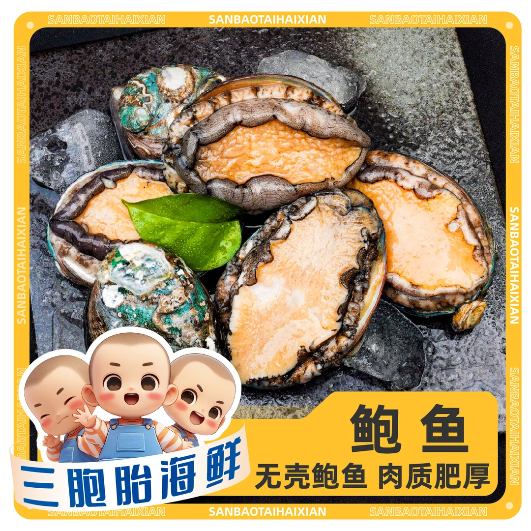 【顺丰发货】③新鲜活冻鲍鱼 方便食用营养海鲜（10头鲍）32只左右/包