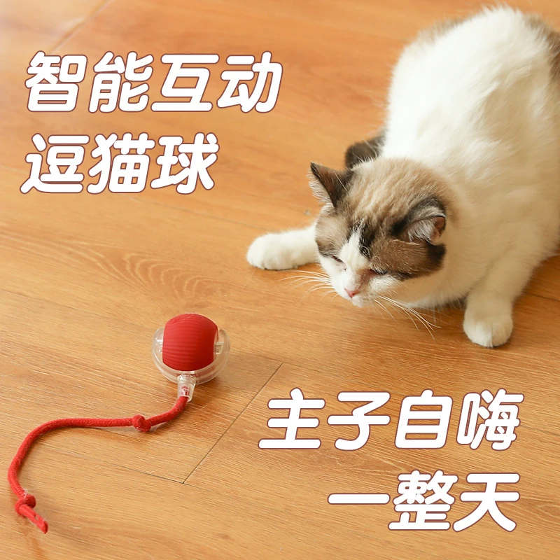 猫咪玩具狗狗玩具自嗨解闷神器滚滚球逗猫球狗狗玩具球狗狗跳跳球