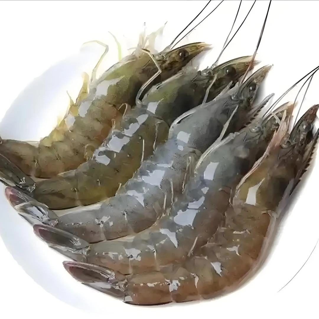 （鲜活） 海白虾 【1斤】大虾同城送