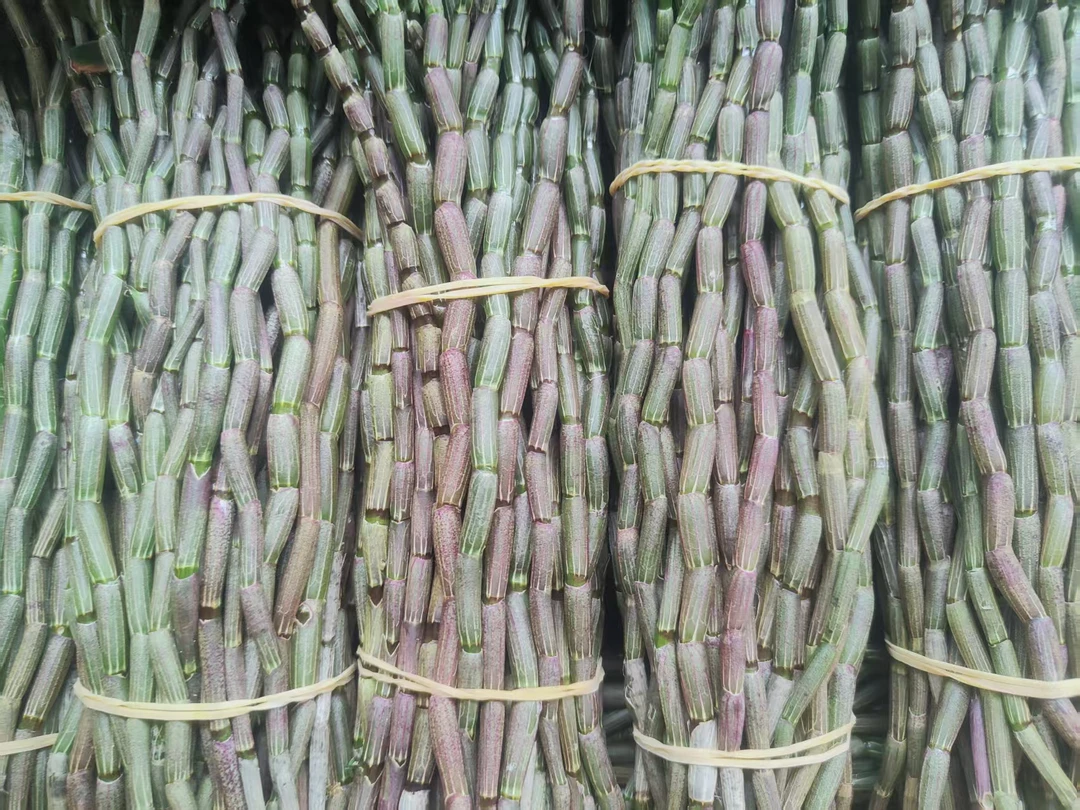 云南高山种植铁皮鲜条胶质浓可煲汤现采现发