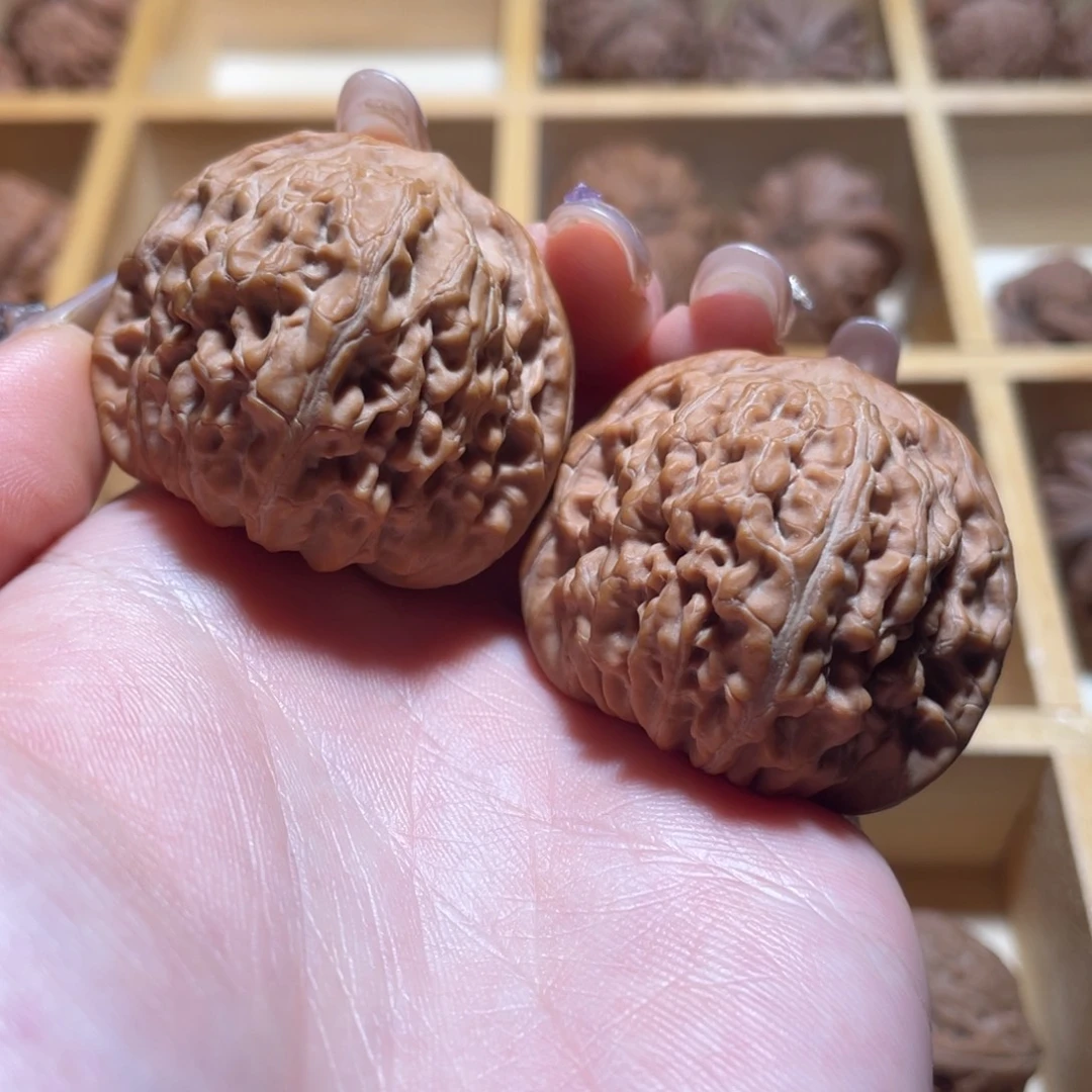 核桃蛮王39原树。